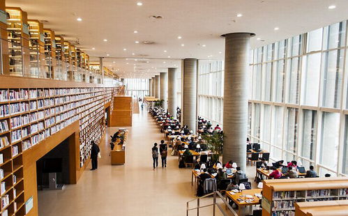 更上一層樓，圣博盾正式全面開啟現代化工廠生產與辦公網站建設